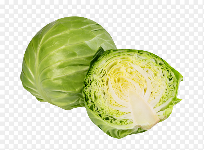 Detail Cabbage No Background Nomer 50