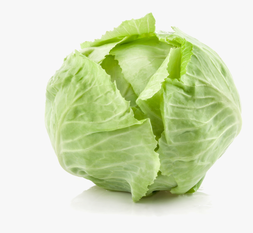 Detail Cabbage Transparent Nomer 10