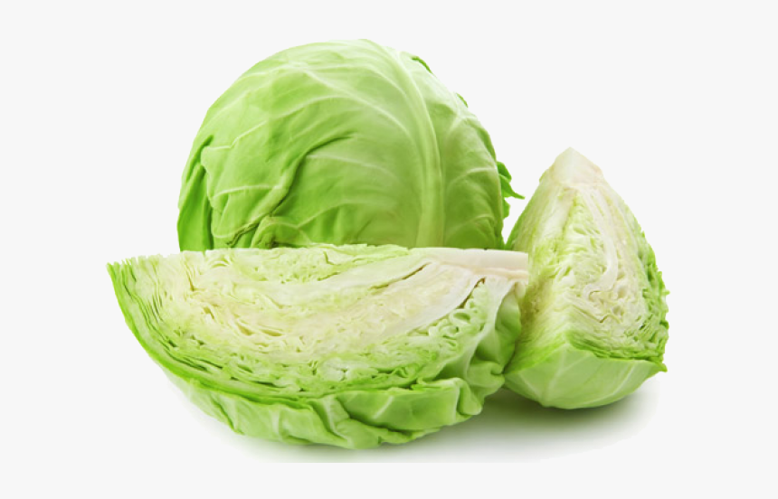 Detail Cabbage Transparent Nomer 14