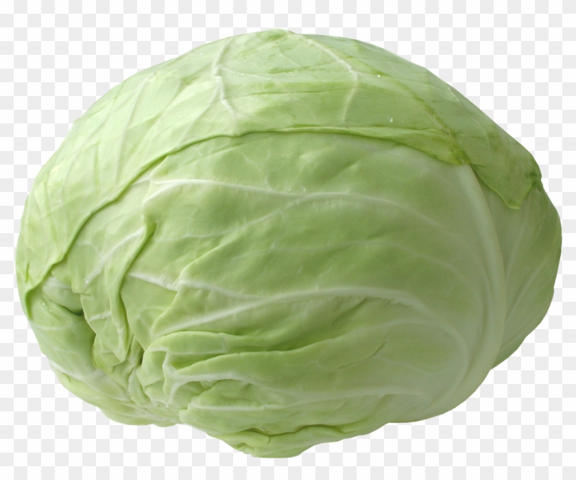 Detail Cabbage Transparent Nomer 18