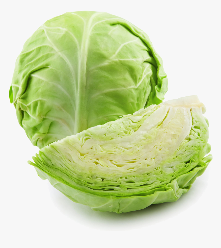 Detail Cabbage Transparent Nomer 22