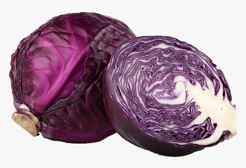 Detail Cabbage Transparent Nomer 30