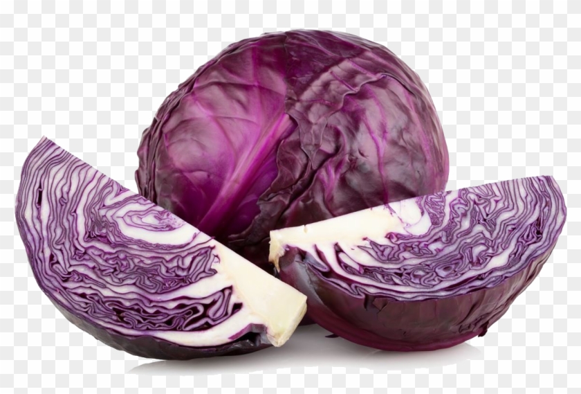 Detail Cabbage Transparent Nomer 34