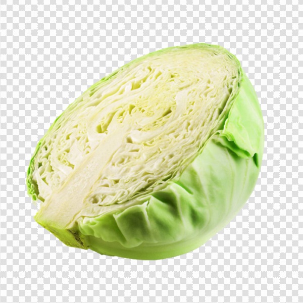 Detail Cabbage Transparent Nomer 40