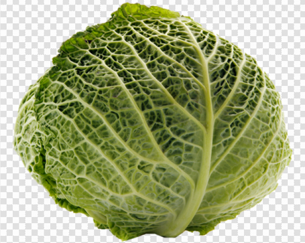 Detail Cabbage Transparent Nomer 42