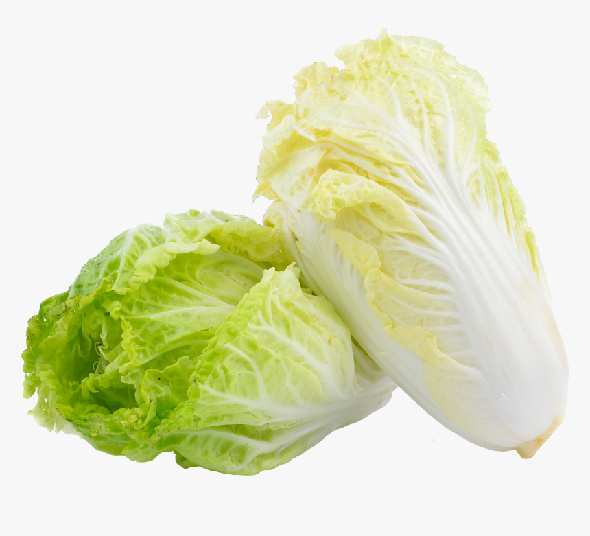 Detail Cabbage Transparent Nomer 43