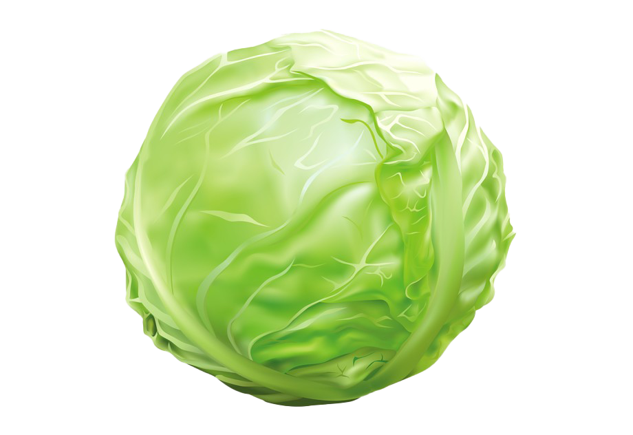Detail Cabbage Transparent Nomer 5