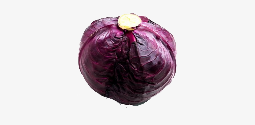 Detail Cabbage Transparent Nomer 47