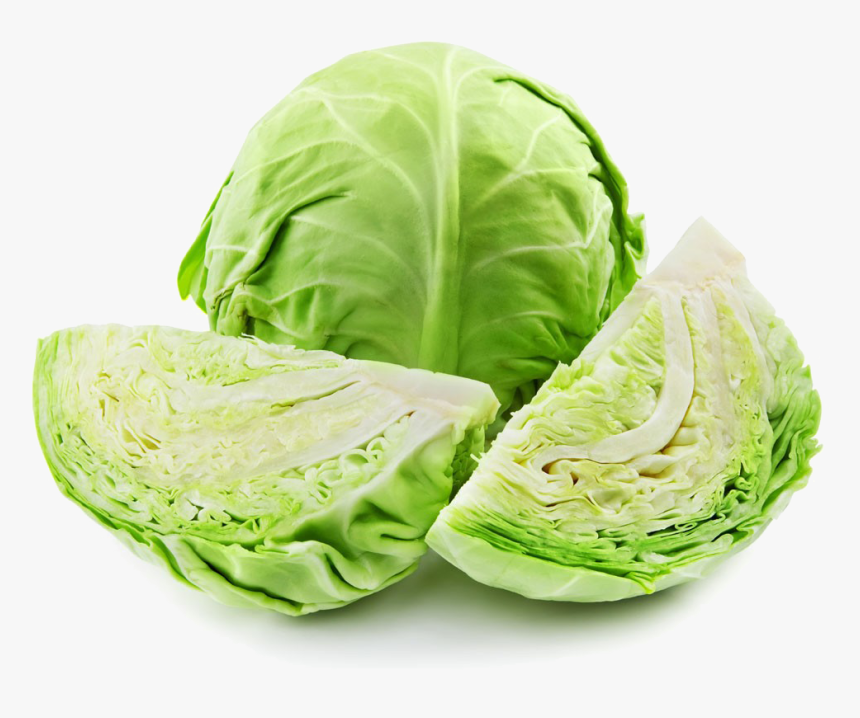 Detail Cabbage Transparent Nomer 49