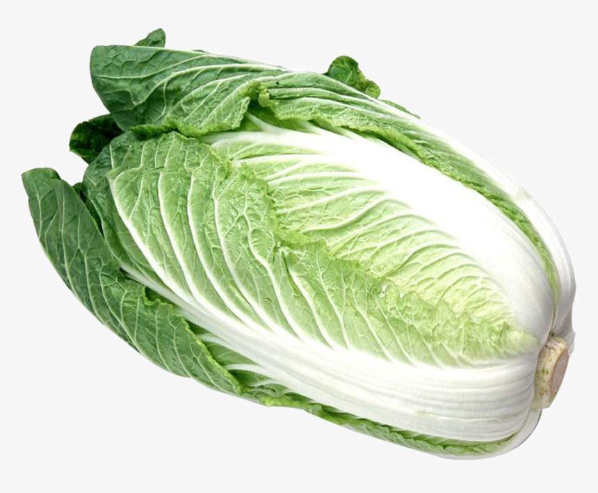 Detail Cabbage Transparent Nomer 50