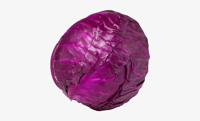 Detail Cabbage Transparent Nomer 53