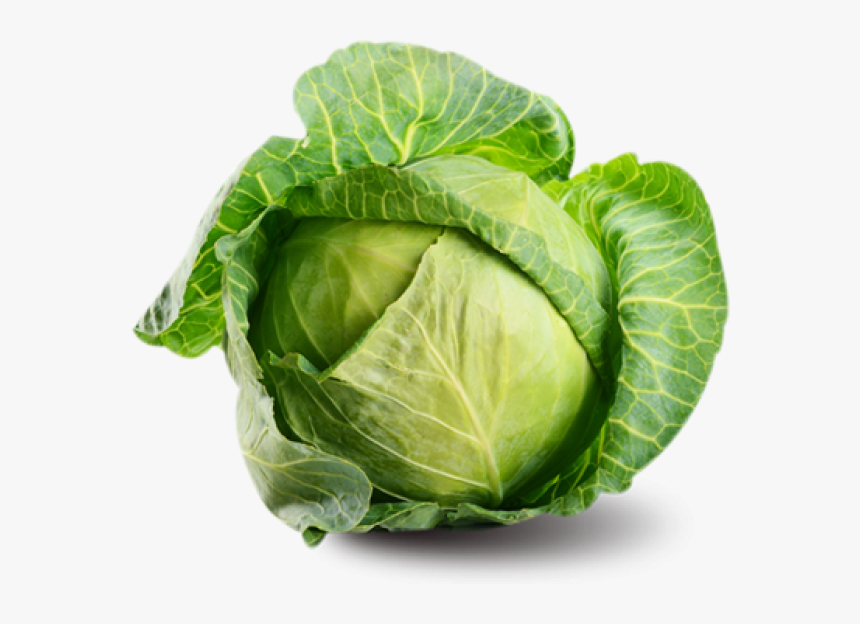 Detail Cabbage Transparent Nomer 7