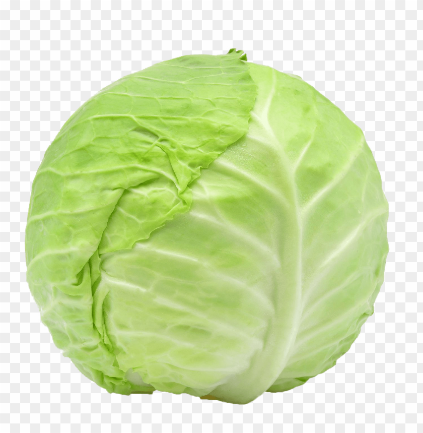 Detail Cabbage Transparent Nomer 9