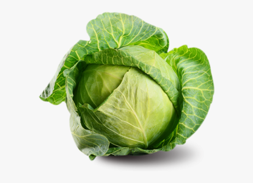 Detail Cabbage Transparent Background Nomer 11