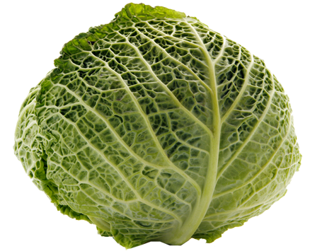 Detail Cabbage Transparent Background Nomer 27