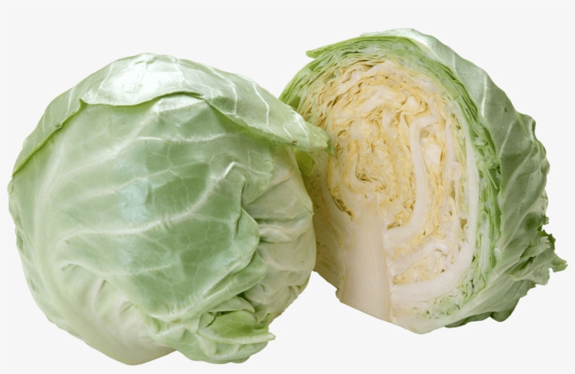 Detail Cabbage Transparent Background Nomer 36