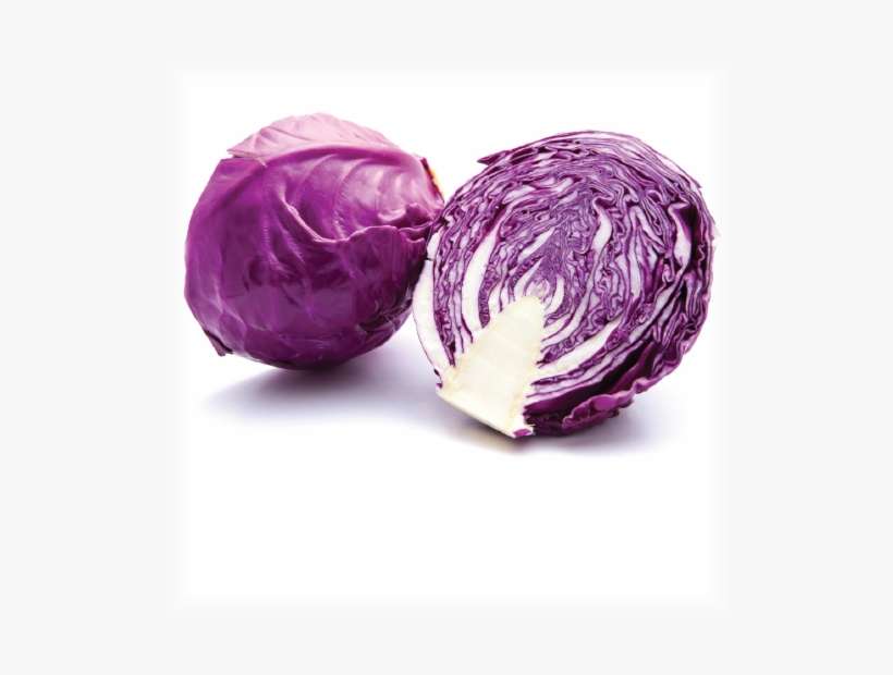 Detail Cabbage Transparent Background Nomer 44