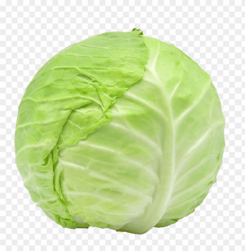 Detail Cabbage Transparent Background Nomer 5