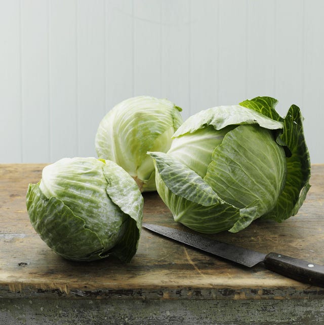 Detail Cabbage Types Images Nomer 33