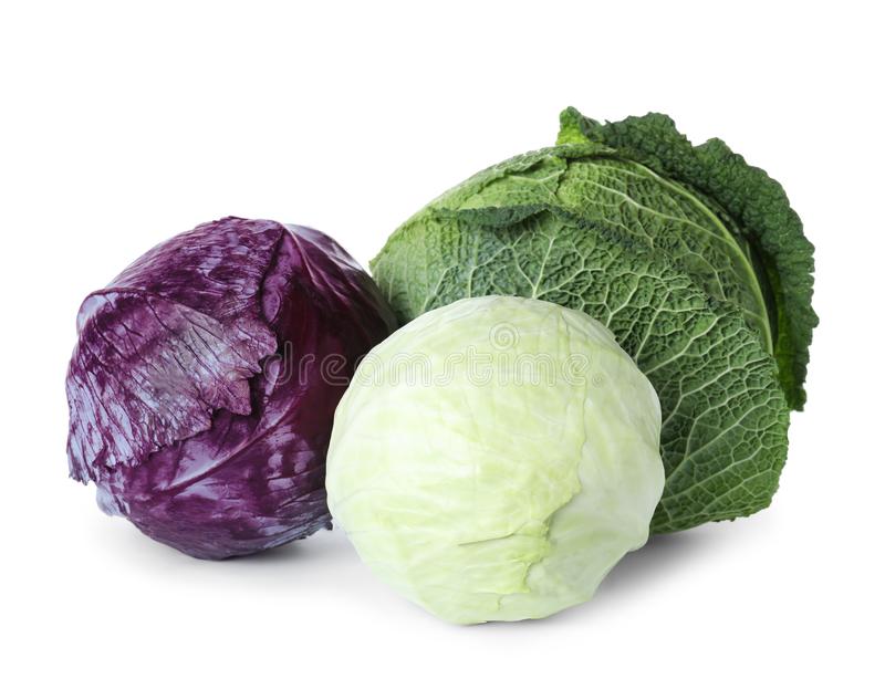 Detail Cabbage Types Images Nomer 54