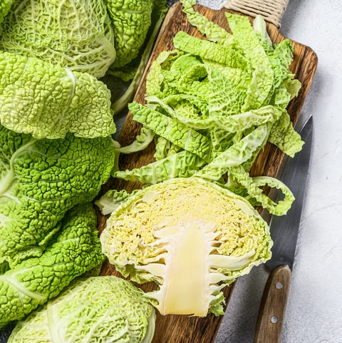 Detail Cabbage Types Images Nomer 56