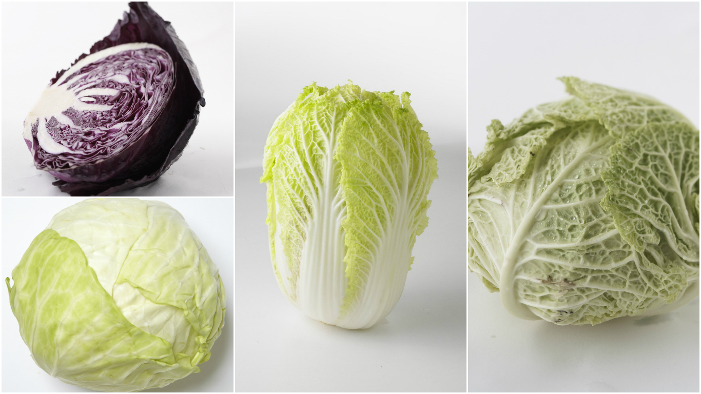 Detail Cabbage Types With Pictures Nomer 12