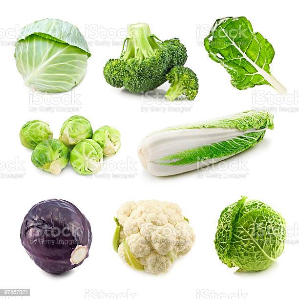 Detail Cabbage Types With Pictures Nomer 20