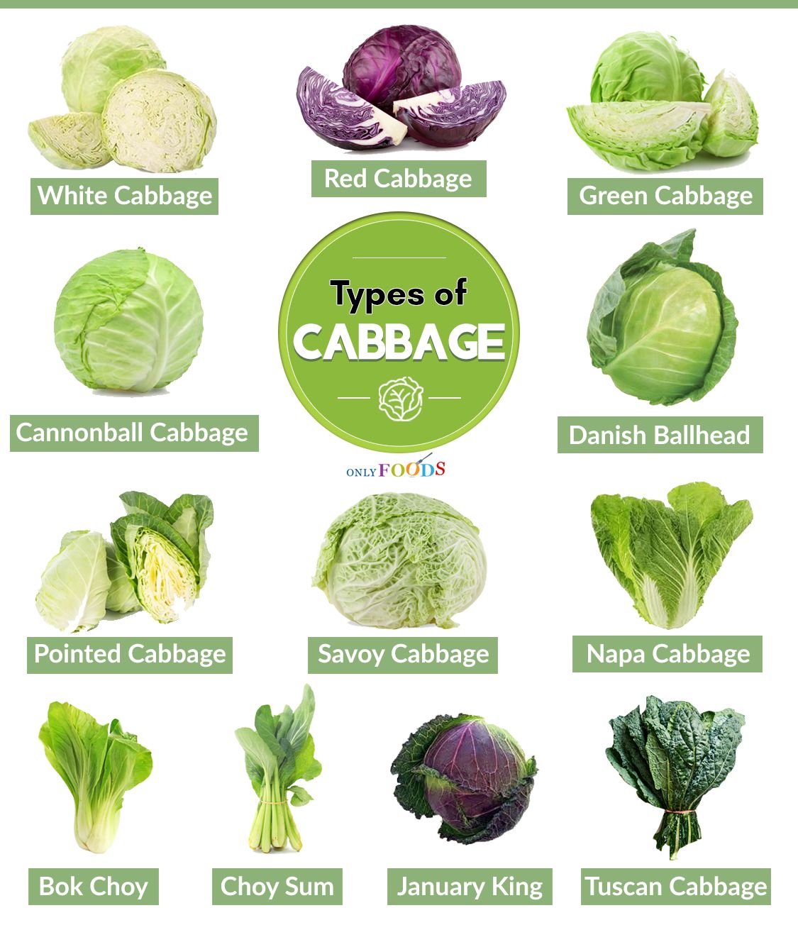 Cabbage Varieties Pictures - KibrisPDR