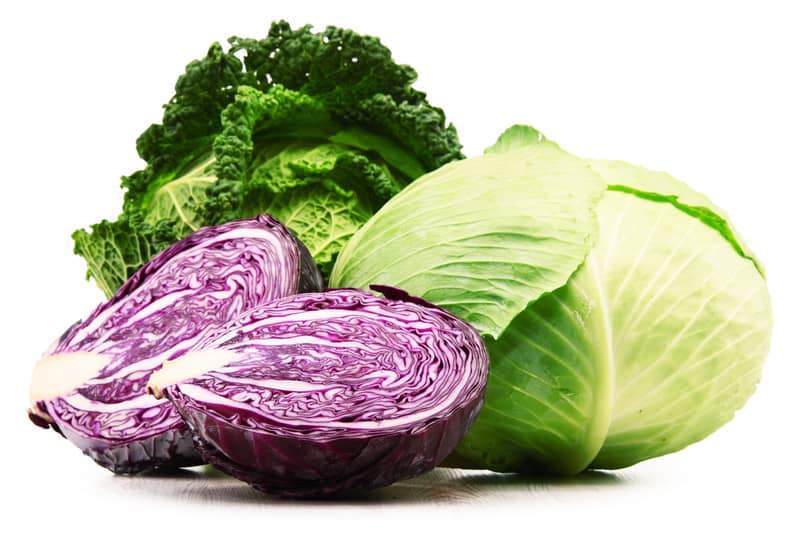 Detail Cabbage Varieties Pictures Nomer 34