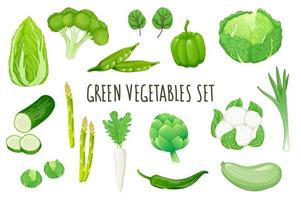 Detail Cabbage Vector Nomer 36