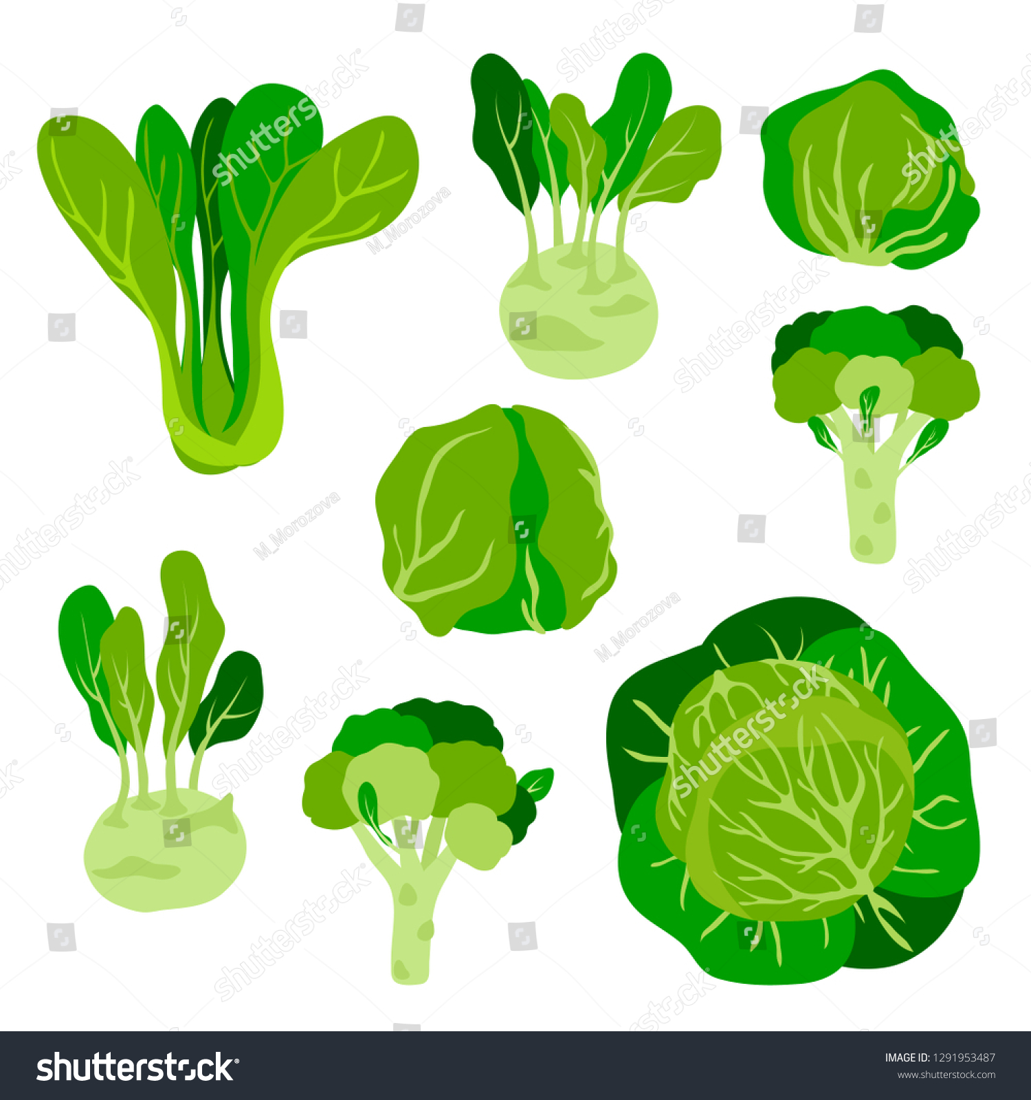 Detail Cabbage Vector Nomer 38