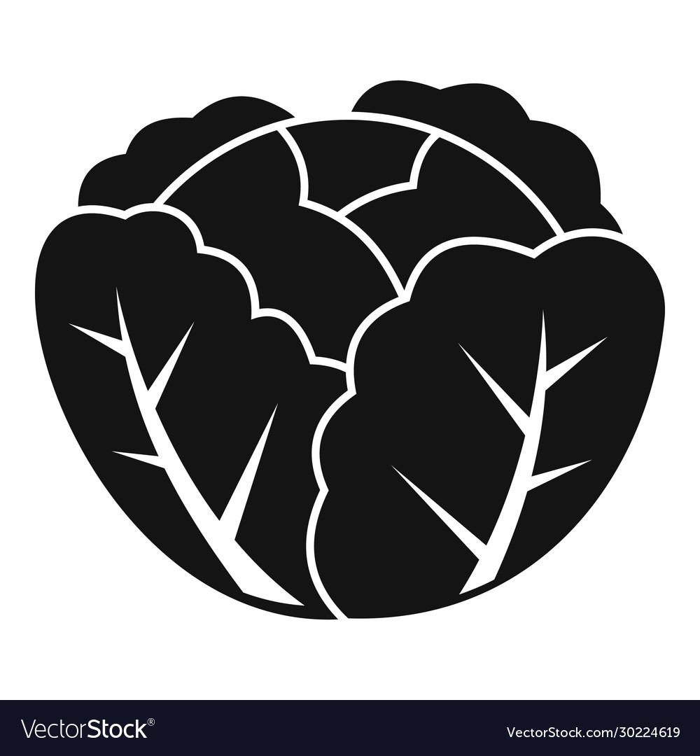 Detail Cabbage Vector Nomer 54