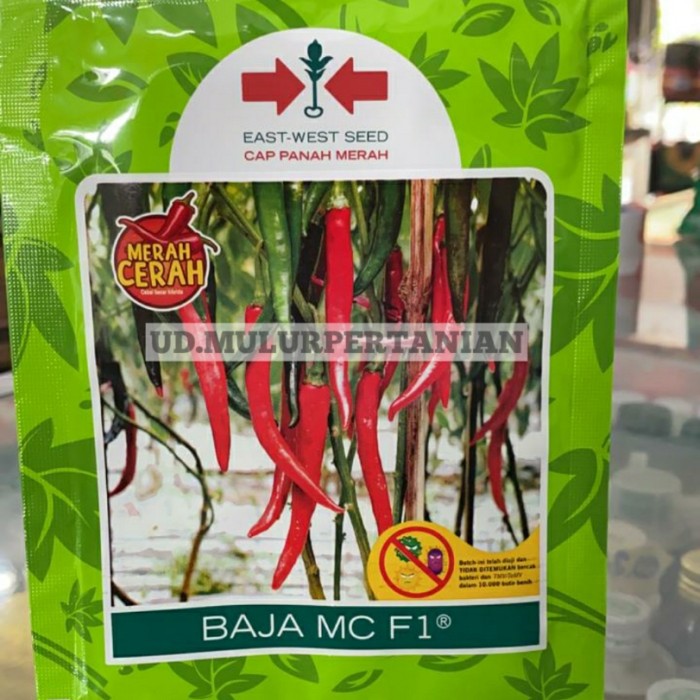 Detail Cabe Besar Produk Panah Merah Nomer 48