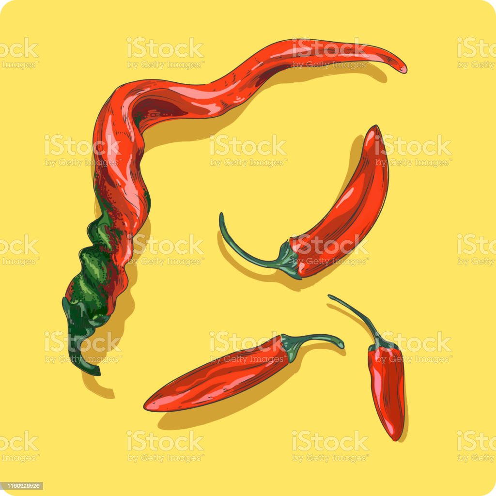 Detail Cabe Merah Vector Nomer 44