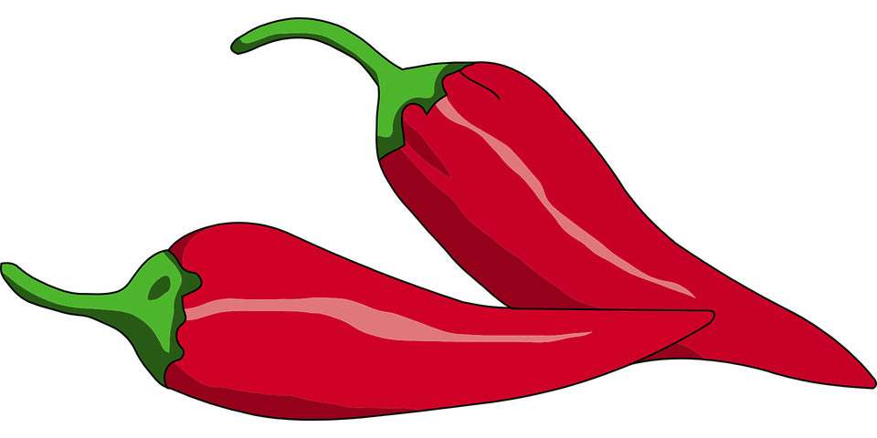 Detail Cabe Merah Vector Nomer 6
