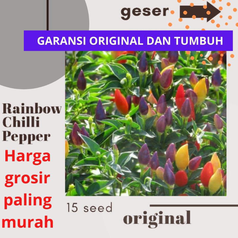 Detail Cabe Warna Warni Nomer 33