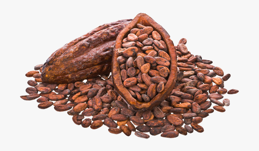 Detail Cacao Png Nomer 18