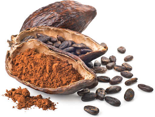 Detail Cacao Png Nomer 52