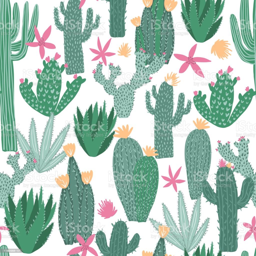 Detail Cactus And Sunflower Wallpaper Nomer 21