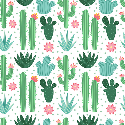 Detail Cactus And Sunflower Wallpaper Nomer 27