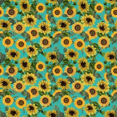 Detail Cactus And Sunflower Wallpaper Nomer 47