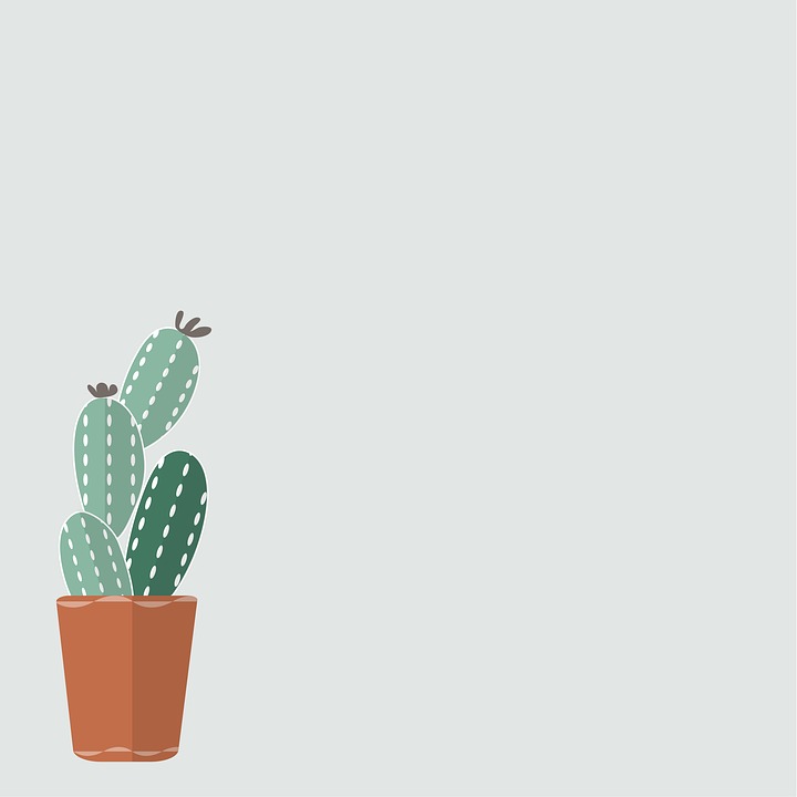 Cactus Background Free - KibrisPDR