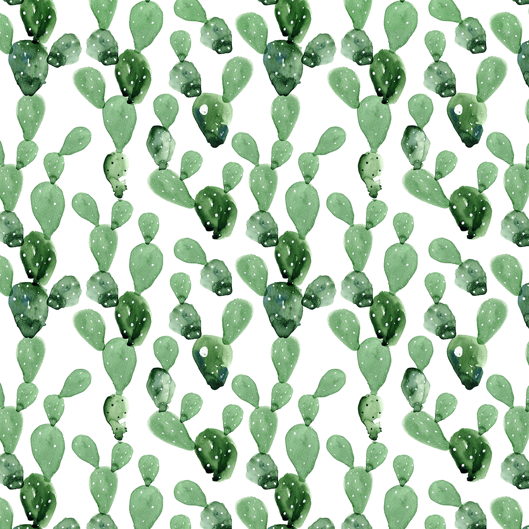 Detail Cactus Background Free Nomer 2