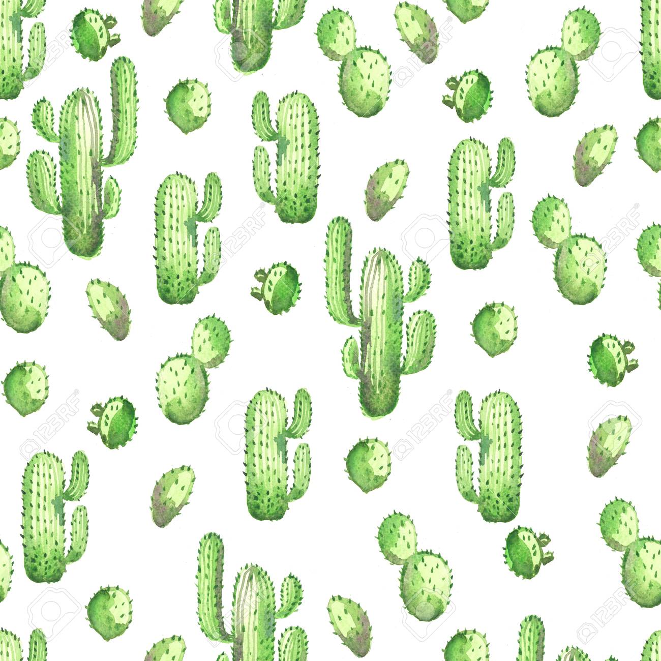 Detail Cactus Background Free Nomer 12