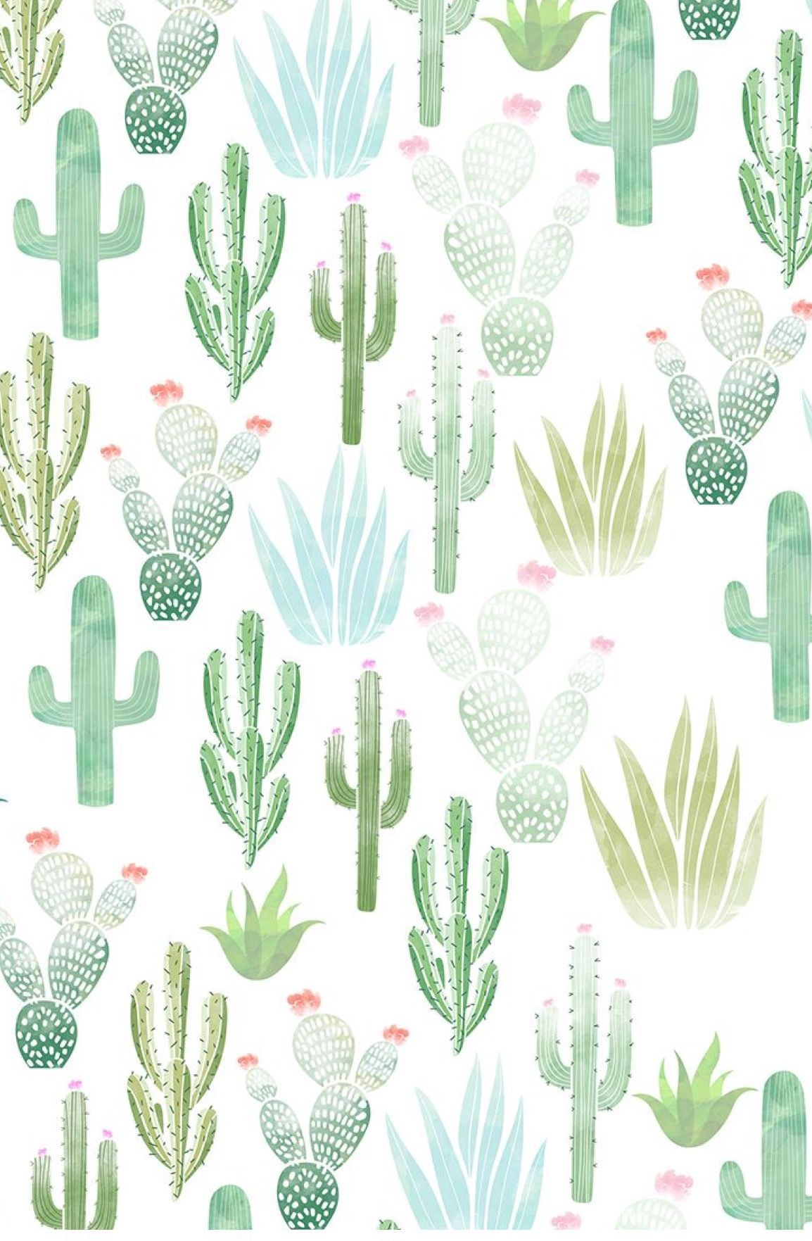 Detail Cactus Background Free Nomer 18