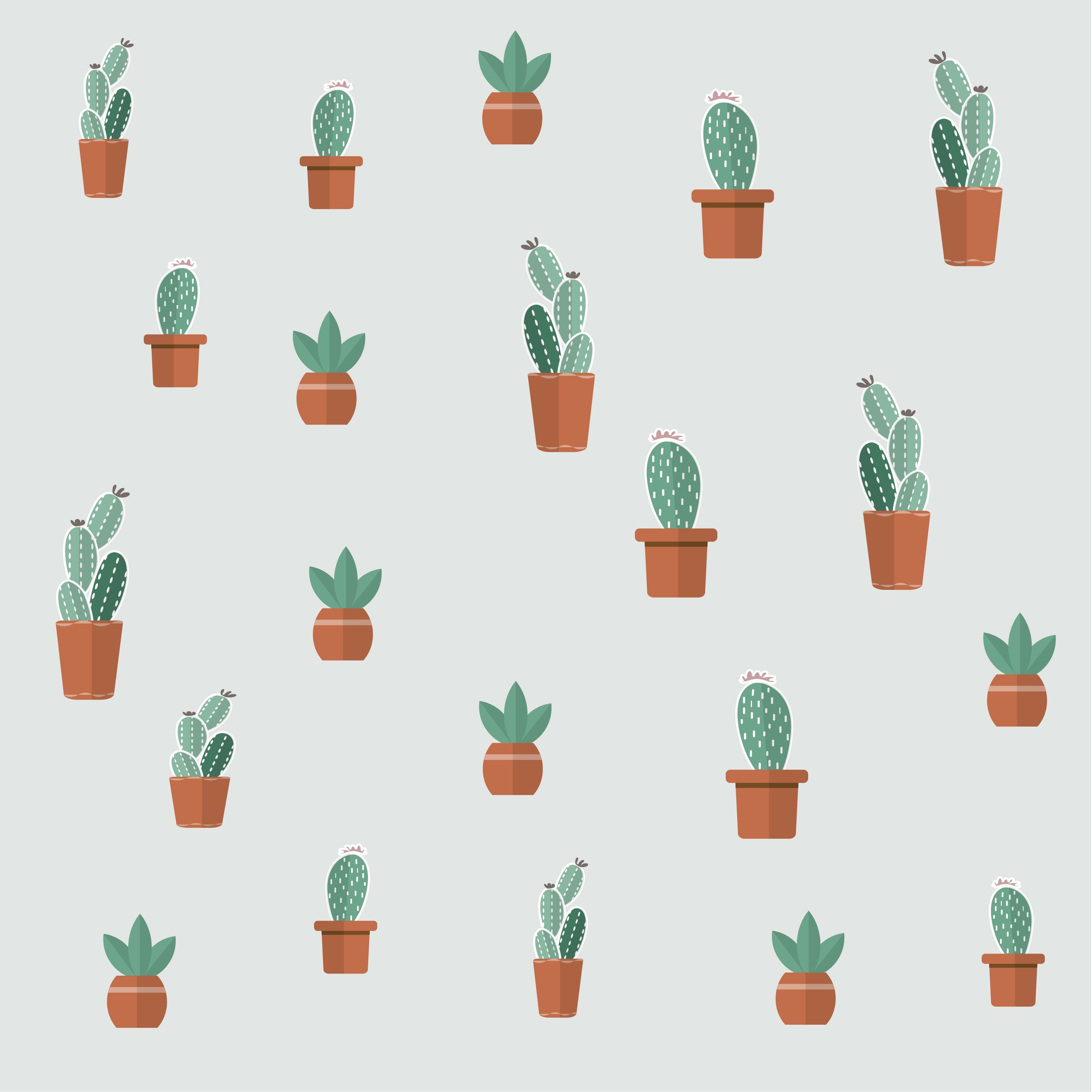 Detail Cactus Background Free Nomer 26