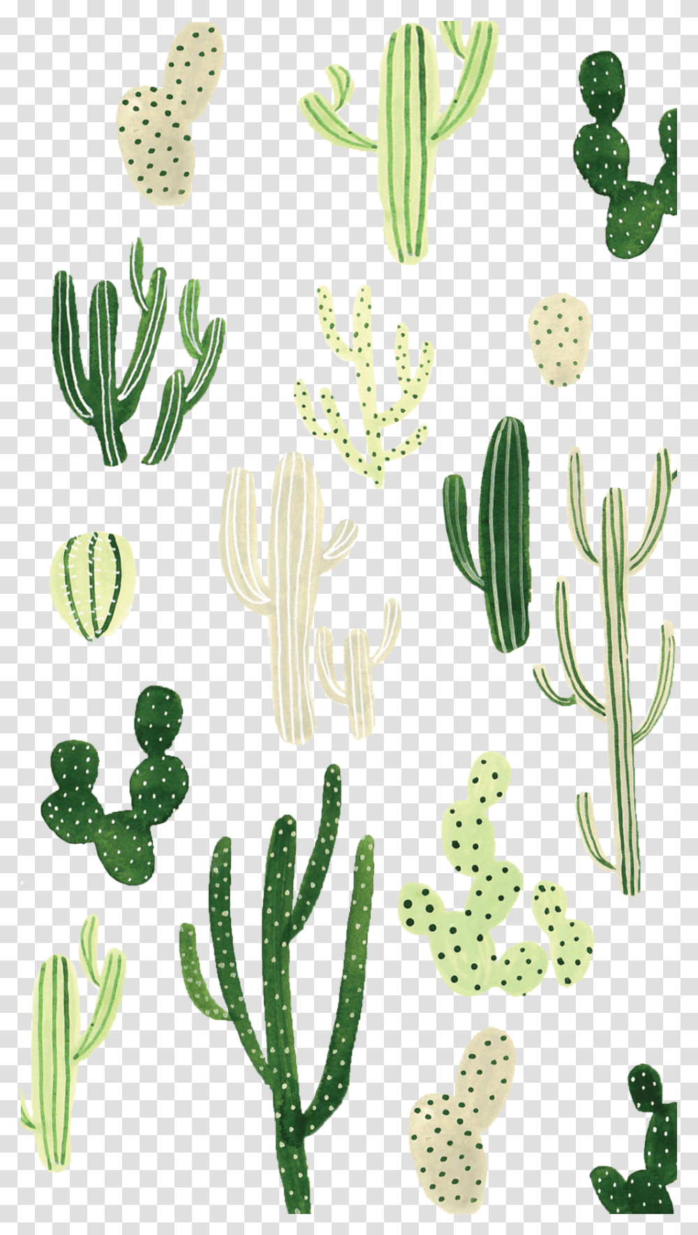 Detail Cactus Background Free Nomer 42