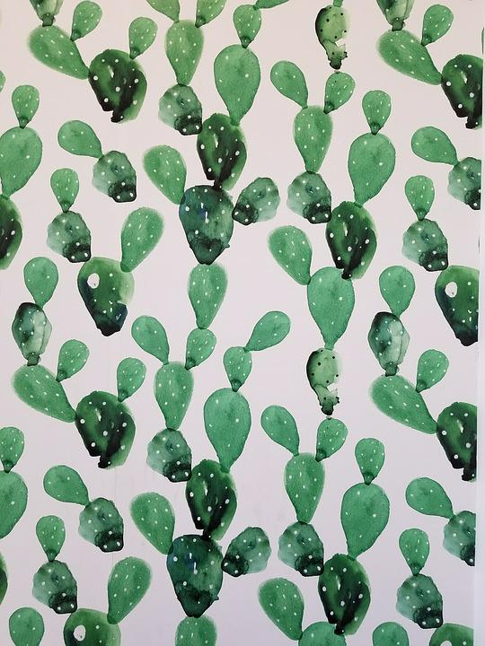 Detail Cactus Background Free Nomer 54