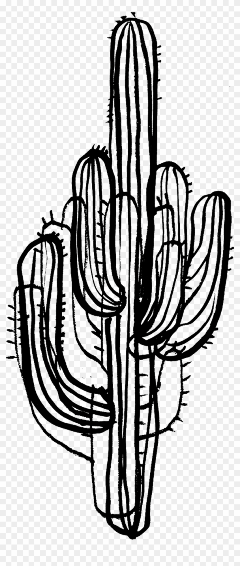 Detail Cactus Black And White Clipart Nomer 45