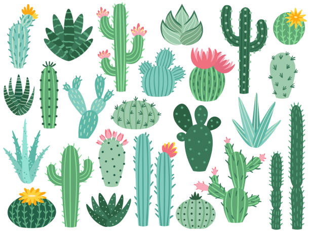 Detail Cactus Clip Art Free Nomer 2